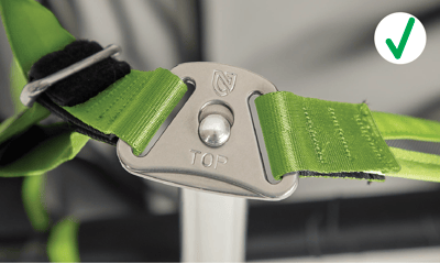 New Stargaze Model Buckle