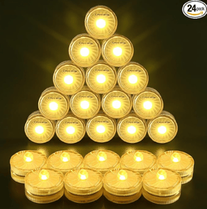 Recalled Happiness Light LED Lights