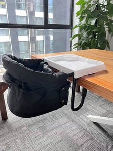 Recalled Portable Hook-On Chair