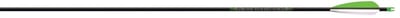 Beman Bone Collector Arrow