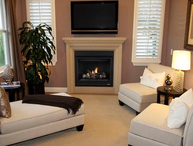 MLDVT model fireplace