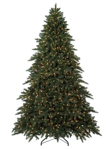 Aspen Estate Fir
