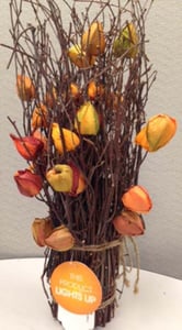 Chinese Lantern plant arrangement
