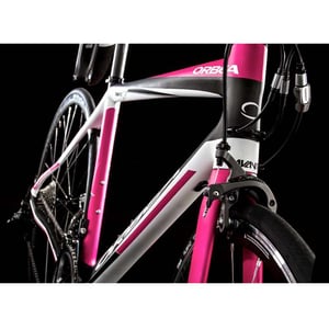 Orbea Avant Bicycle Label
