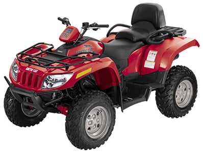2009 2UP ATV