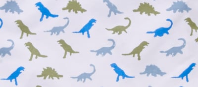 Dino Print