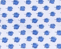 Elephant Print