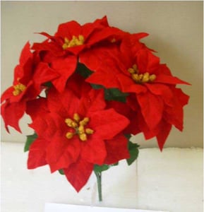 SKU 424066 Red Poinsettia Bush