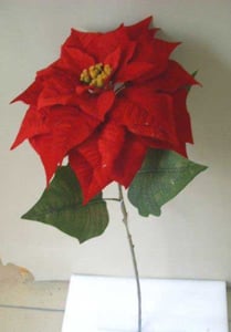 SKU 426830 Red Poinsettia Stem