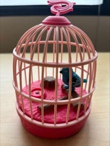 Recalled Pink Cage with Blue Bird