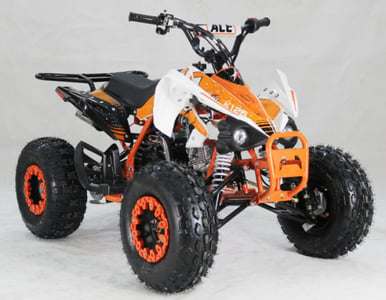 Recalled ACE K125 Youth ATV