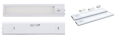 Recalled Good Earth Lighting Light - RE1250-WHG-12LF1-G as part of RE1250-WHG-12LF2-Q bundle