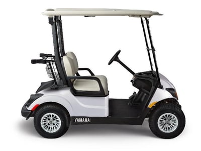 Recalled PTV Glacier golf cart