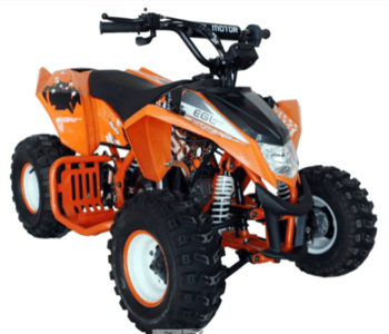 Recalled EGL MADIX 110 Youth ATV