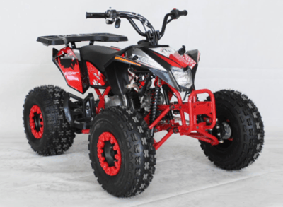 Recalled EGL MADIX 125 Youth ATV