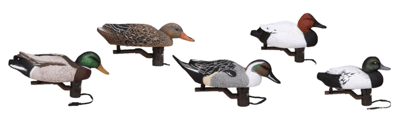 Recalled Swimmer Model Decoys