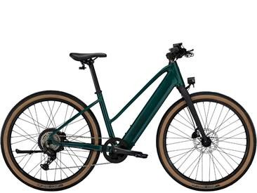 Trek FX+1 Midstep with recalled rear wheel bolts