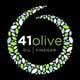 41 Olive logo