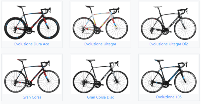 2017 Masi Evoluzione (all models) and Gran Corsa model