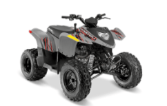 Recalled Model Year 2018-2020 Polaris Phoenix 200 ATV