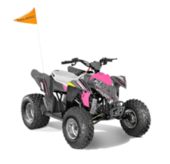 Recalled Model Year 2022 Outlaw 110 EFI ATV– gray and pink