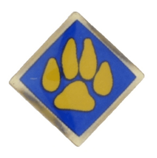 Recalled Cub Scout outdoor activity pin