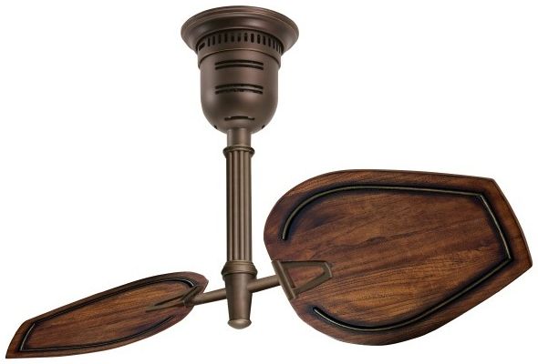 Ceiling fan
