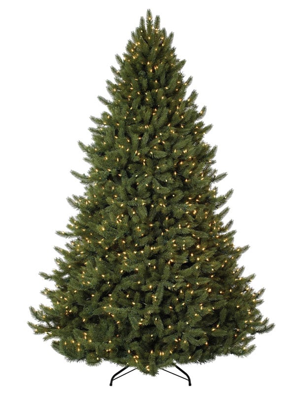 Vermont White Spruce