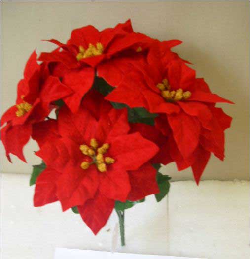 SKU 424066 Red Poinsettia Bush