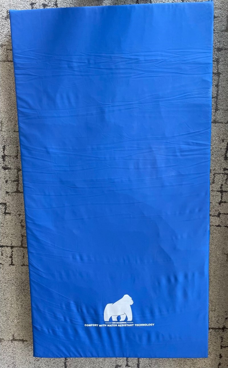 Recalled ESS Universal foam mattress