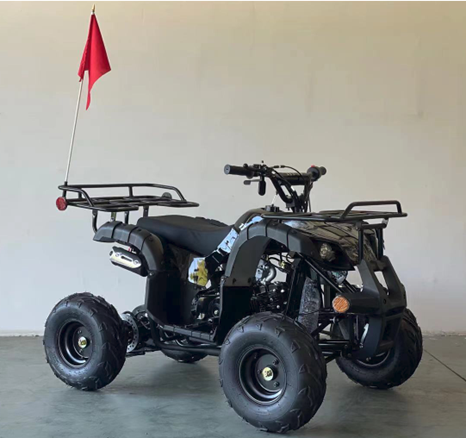 Recalled Ricky Powersports RPS BF-ATV125E Youth ATV