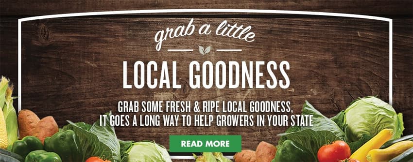 Food Lion promotional content