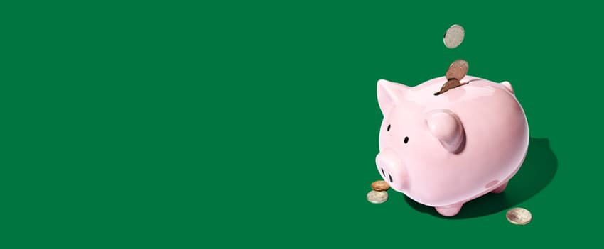 Publix promotional content