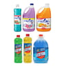 Recalled Mistolin and Lestoil in various scents