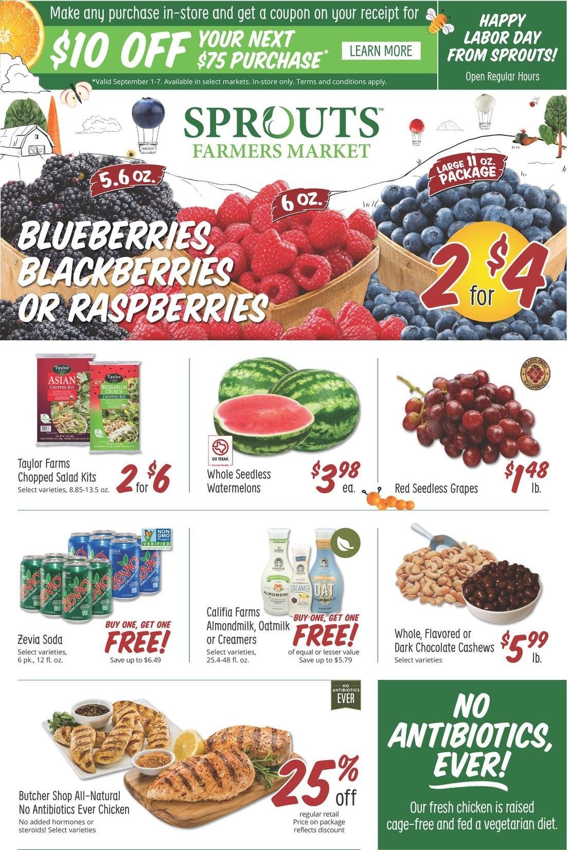 Sprouts Farmers Market Current Sales Weekly Ads Online