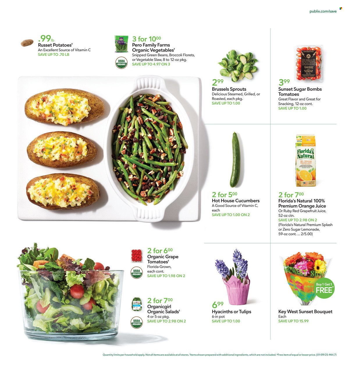 Publix Current Sales Weekly Ads Online