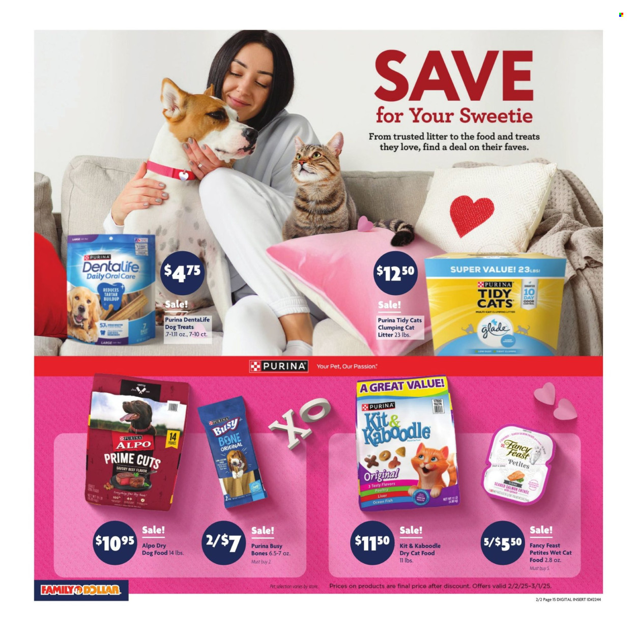 Family Dollar Ad - Page 16