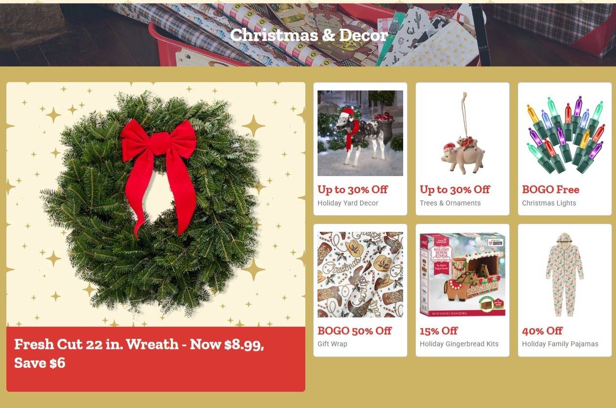 Tractor Supply Company Black Friday Deals - Page 3