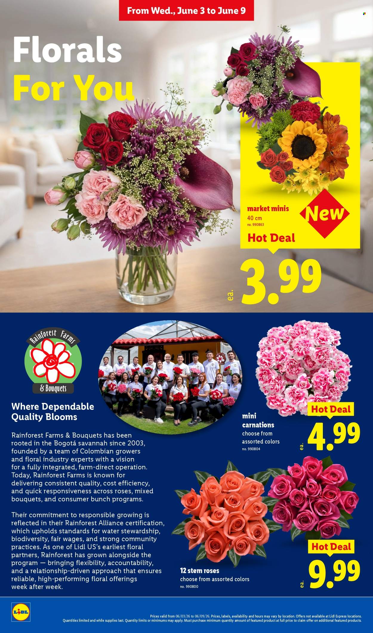 Lidl Ad - Page 26
