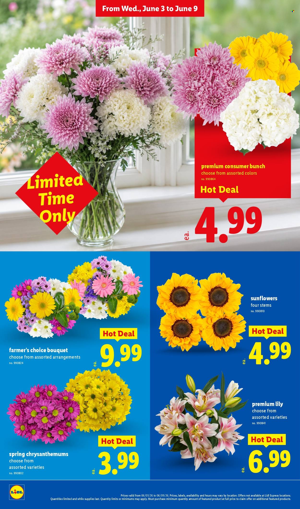 Lidl Ad - Page 28