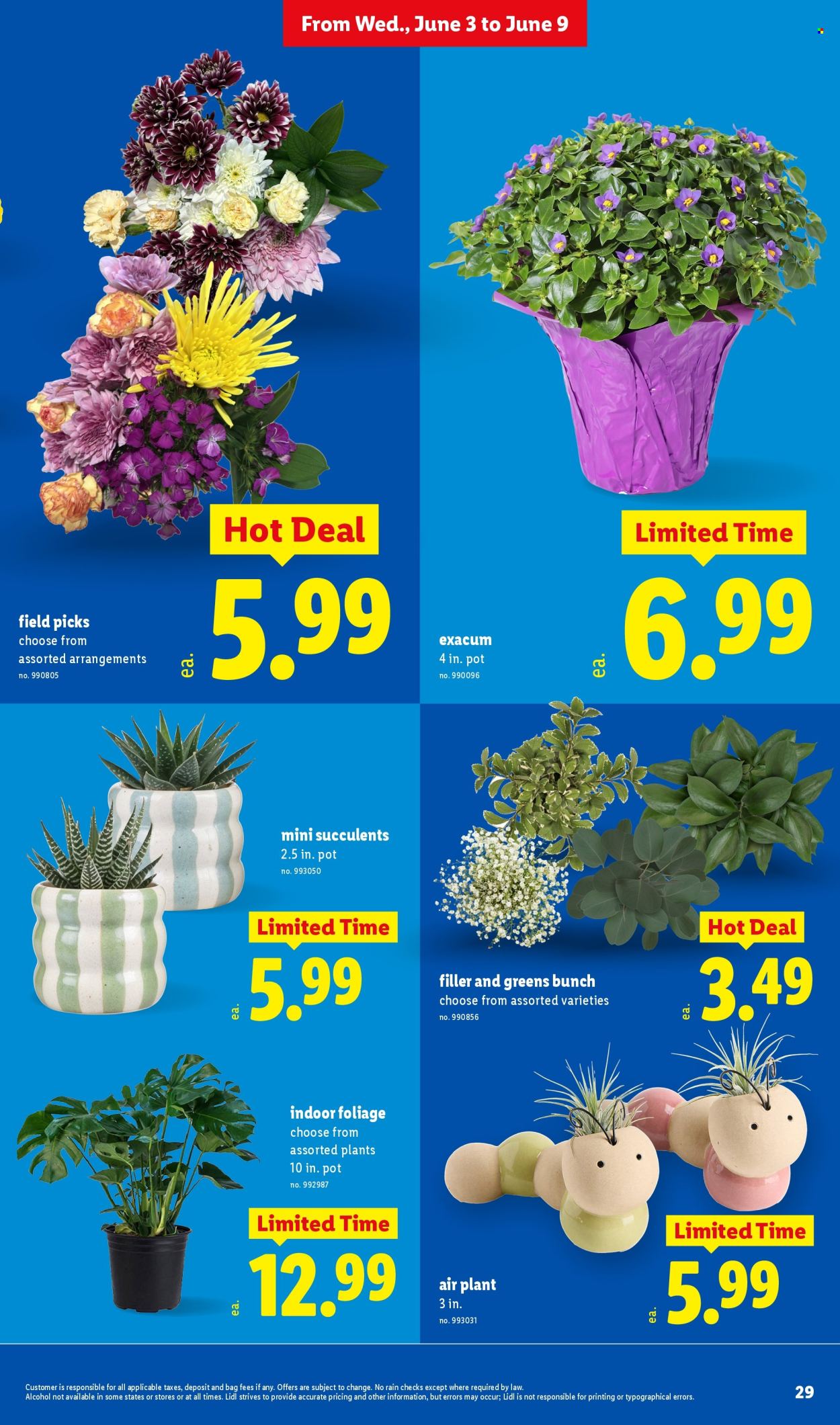 Lidl Ad - Page 29