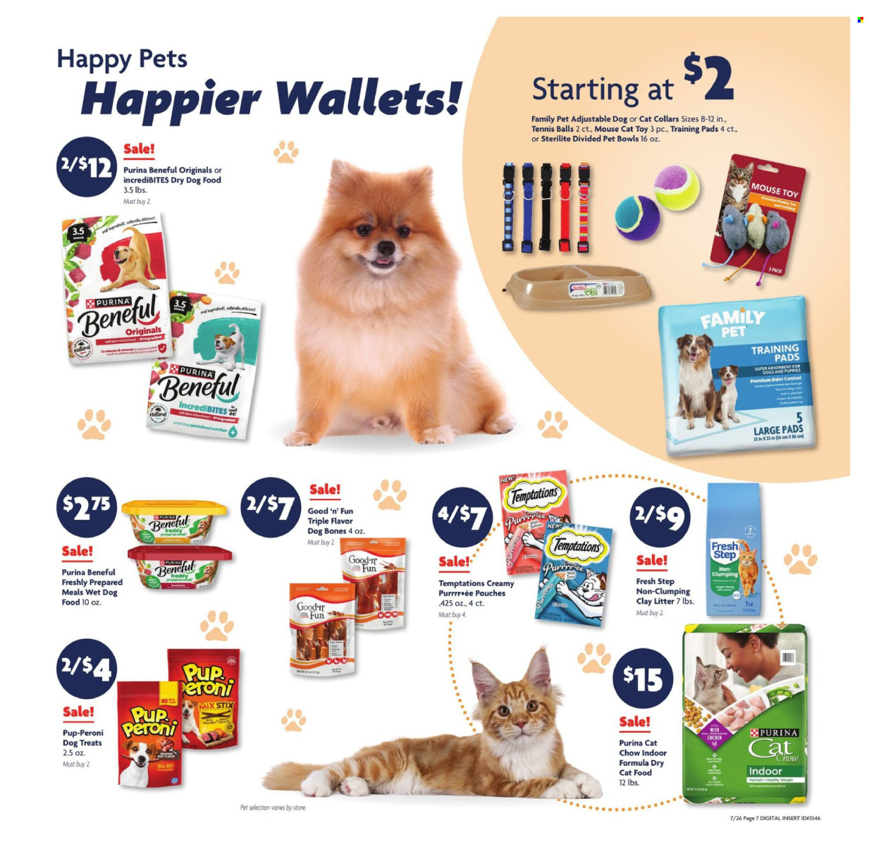 Family Dollar Ad - Page 13