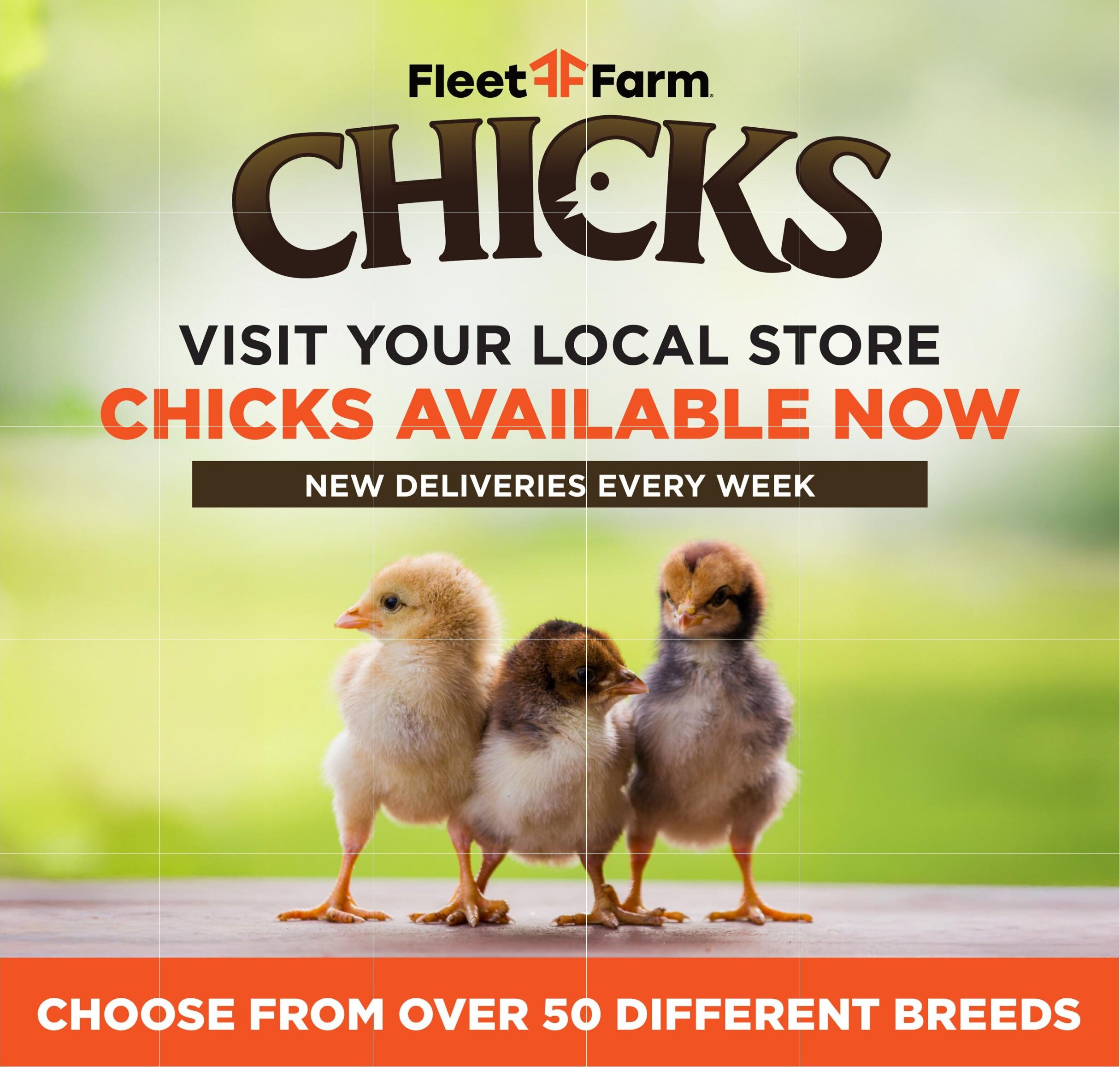 Fleet Farm Ad - Page 16
