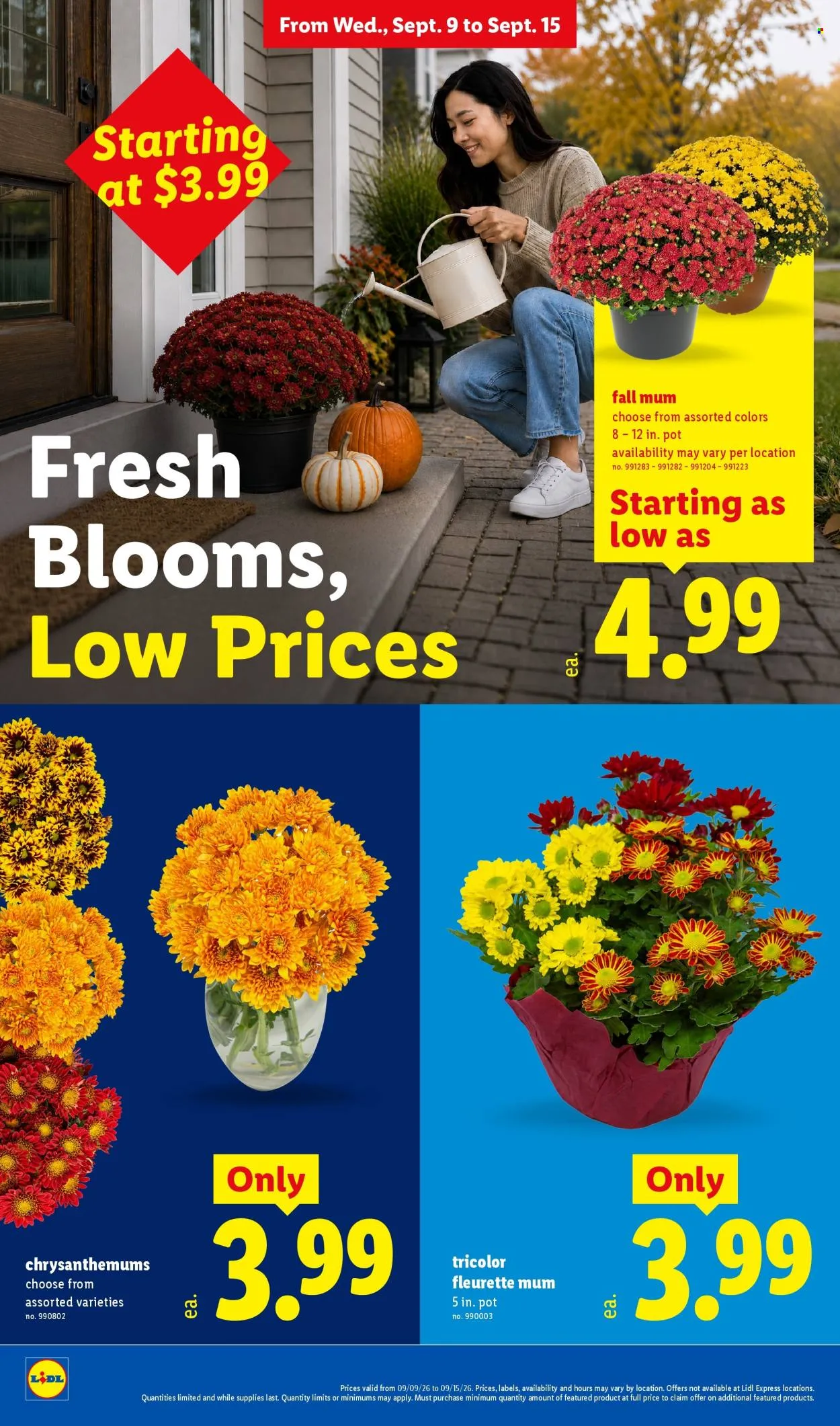 Lidl Ad - Page 22