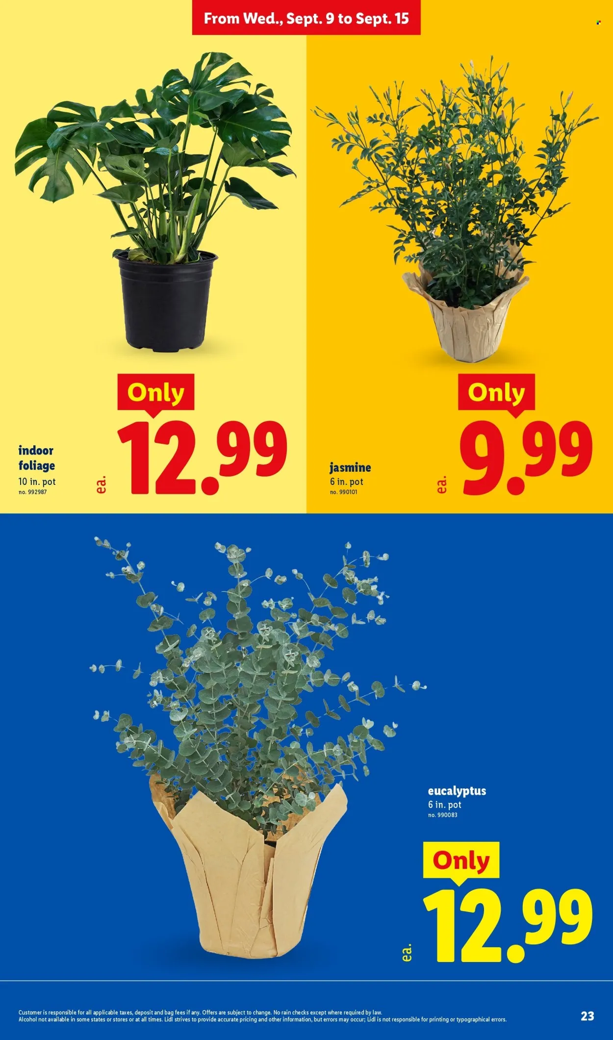 Lidl Ad - Page 23