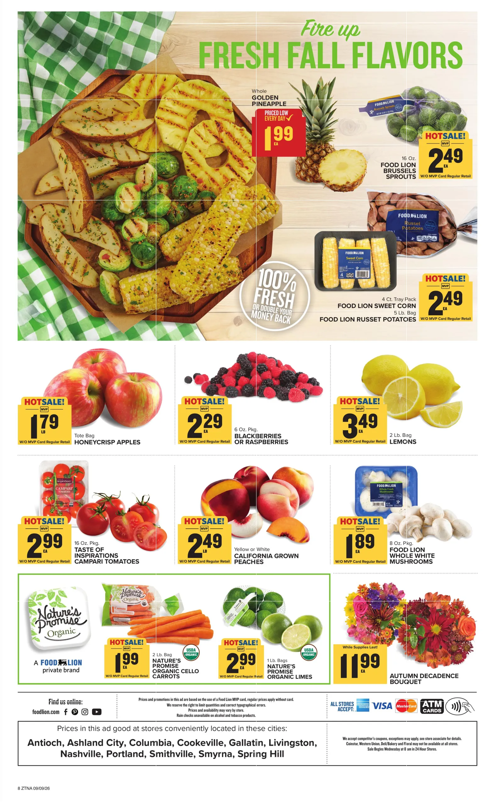 Food Lion Weekly Ad - Page 3