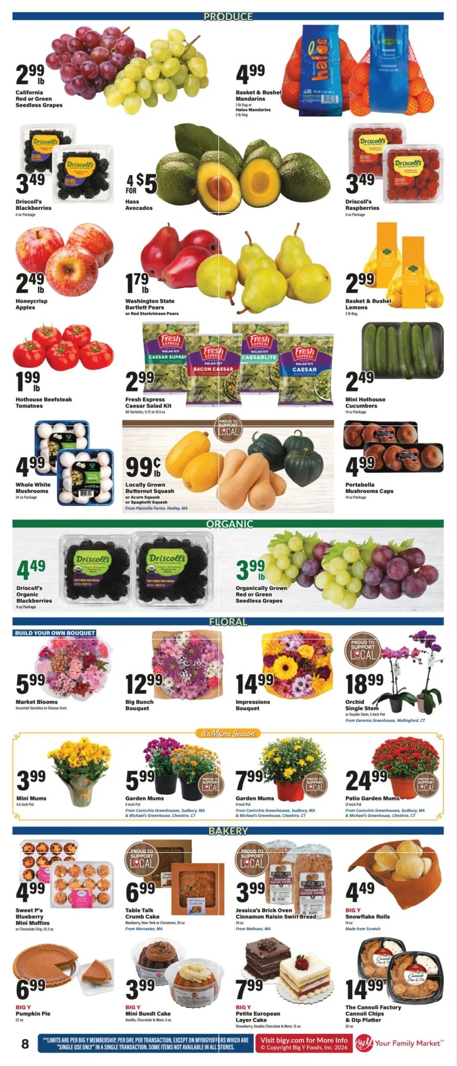 Big Y Weekly Ad - Page 15