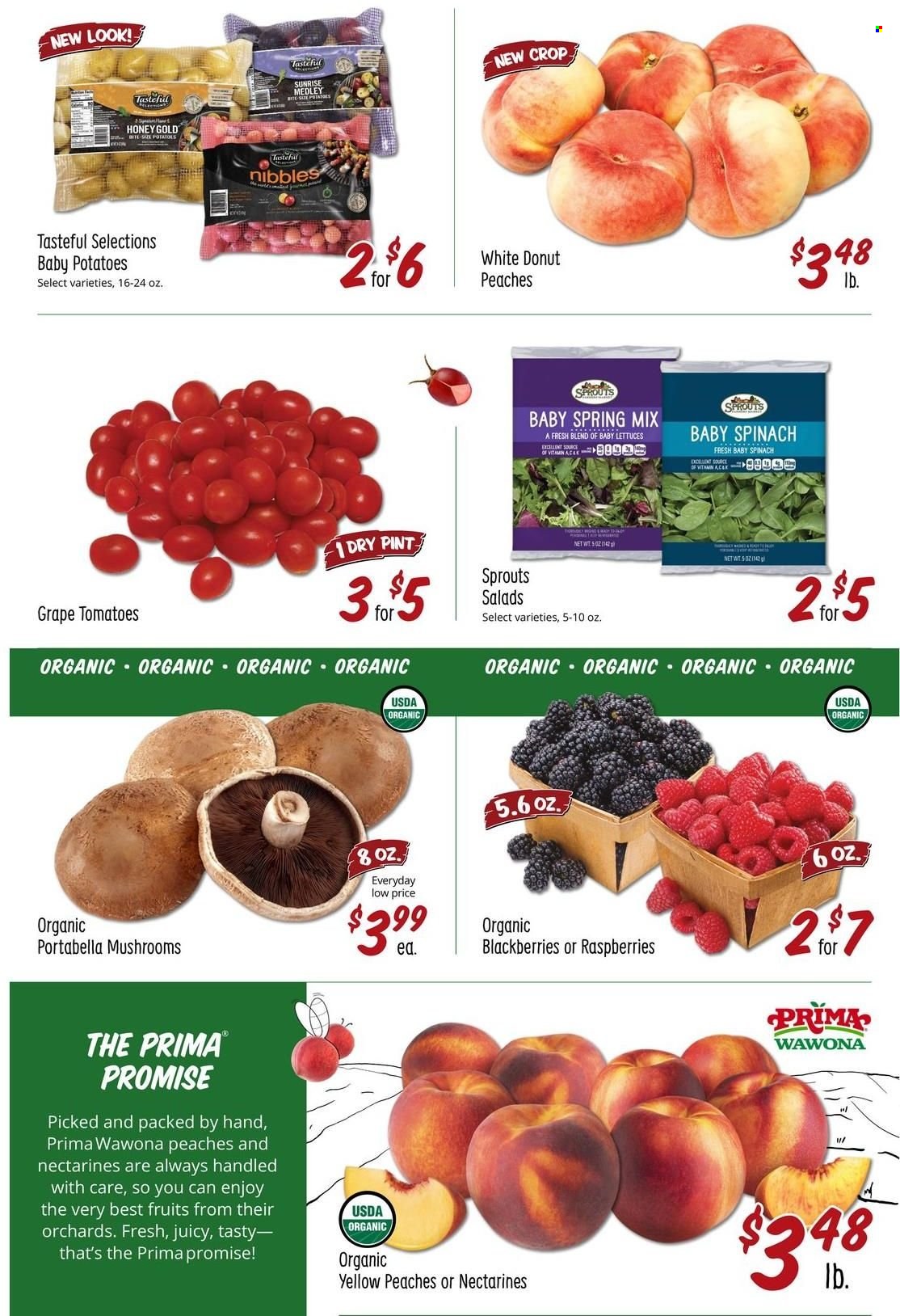 Sprouts Farmers Market Ad - Page 4