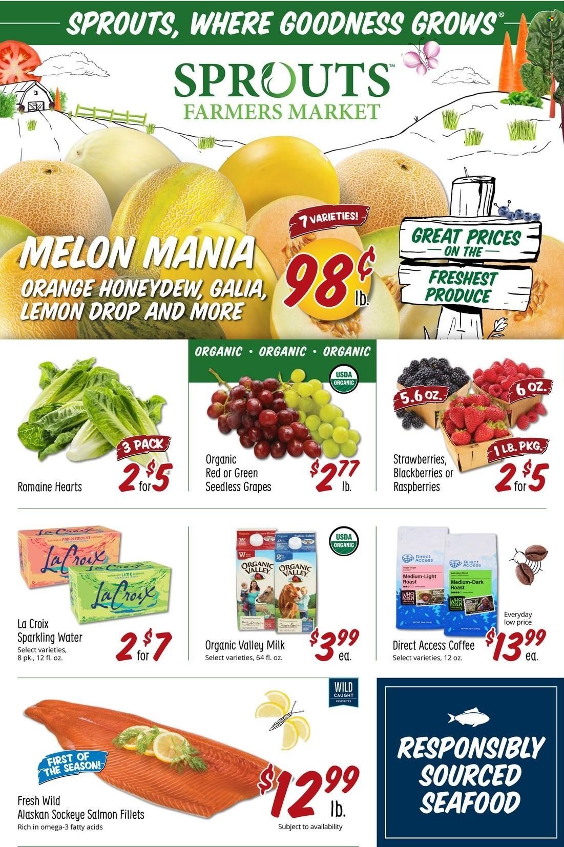 Sprouts Farmers Market Current Sales Weekly Ads Online