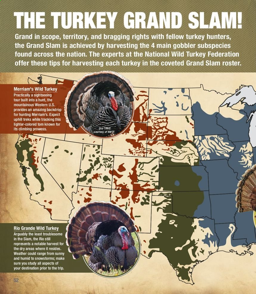 Cabela's Spring Hunting 2021 Catalog - Page 52